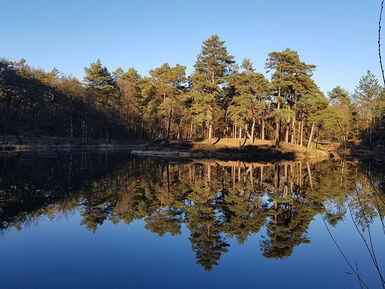 natuur_zeist